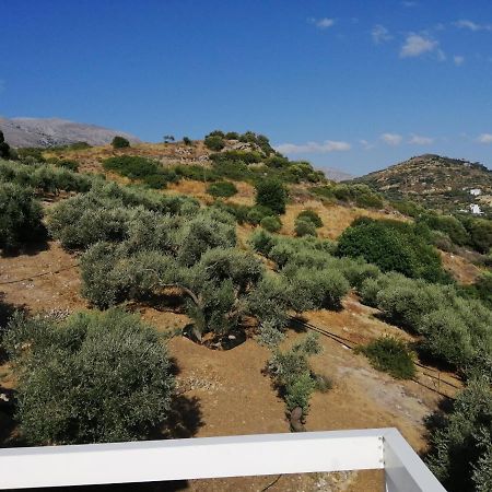 Ελαιώνας Διαμέρισμα Πλακιάς Εξωτερικό φωτογραφία
