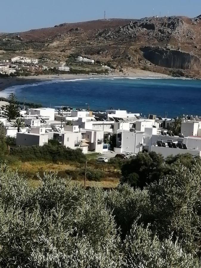 Ελαιώνας Διαμέρισμα Πλακιάς Εξωτερικό φωτογραφία