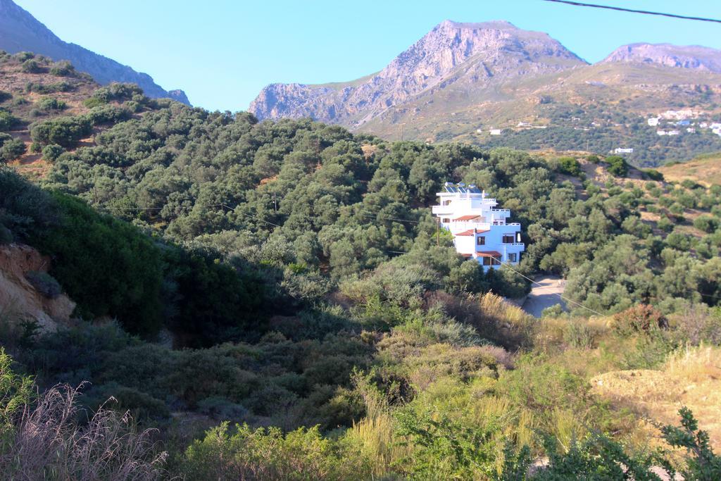 Ελαιώνας Διαμέρισμα Πλακιάς Εξωτερικό φωτογραφία