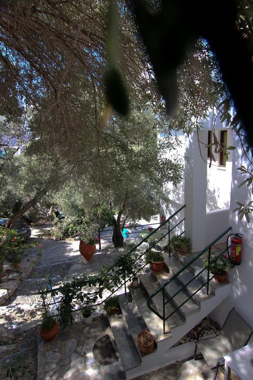 Ελαιώνας Διαμέρισμα Πλακιάς Εξωτερικό φωτογραφία